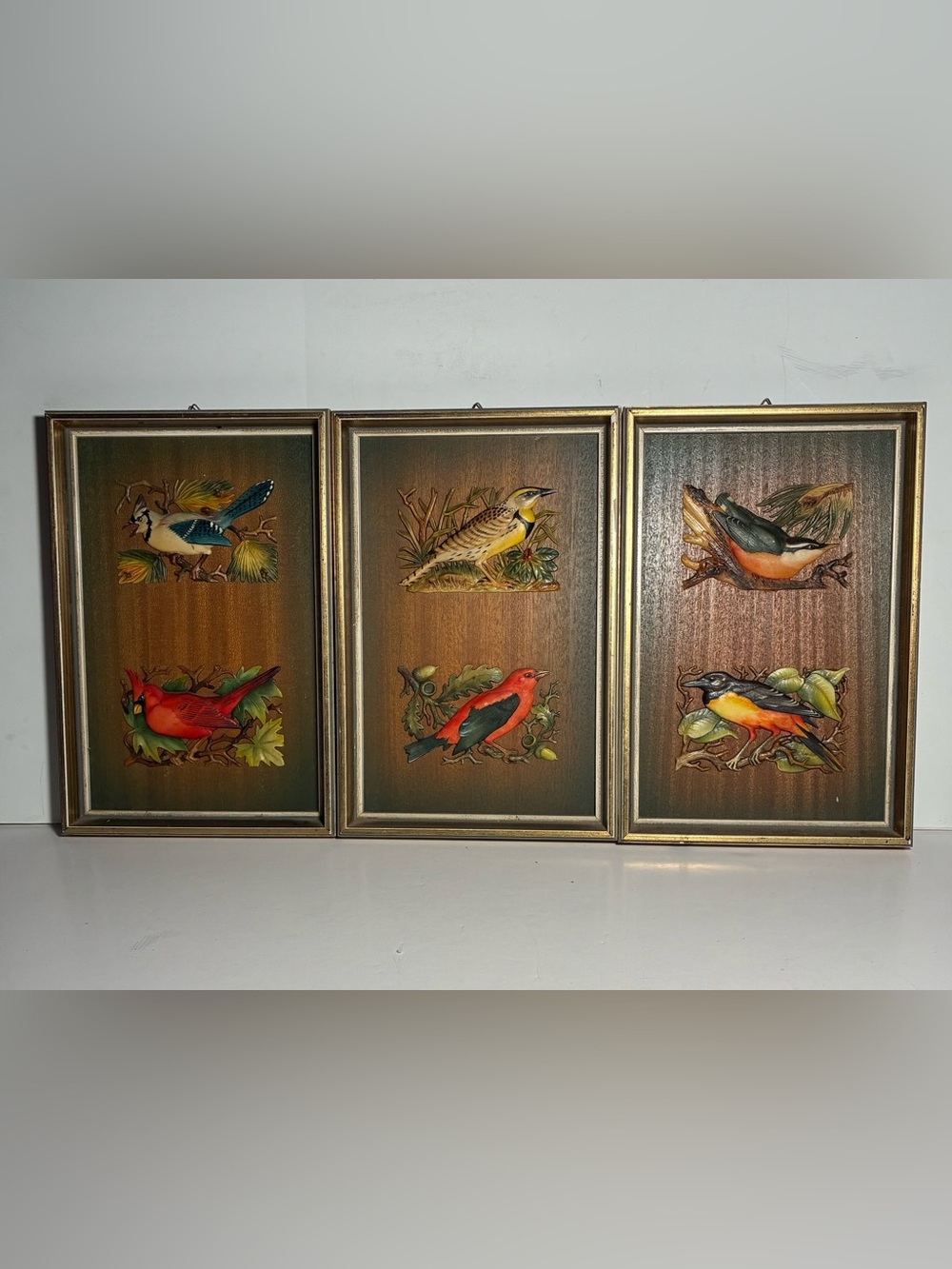 Vintage ANRI Italy 3D Bird Plaques with Shadow Box Frames-Set of 3